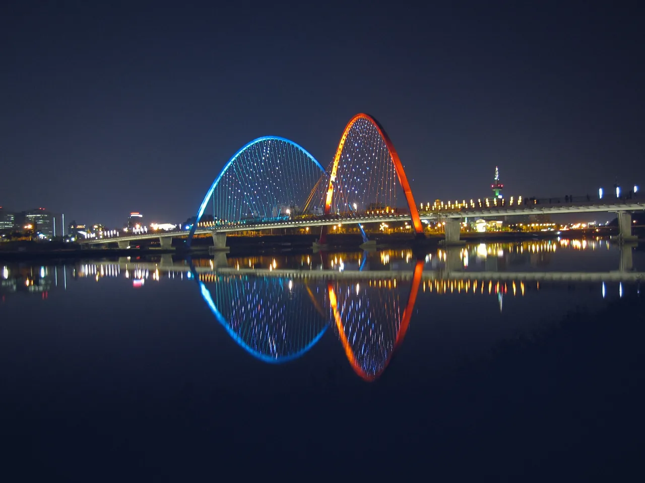 엑스포 야경