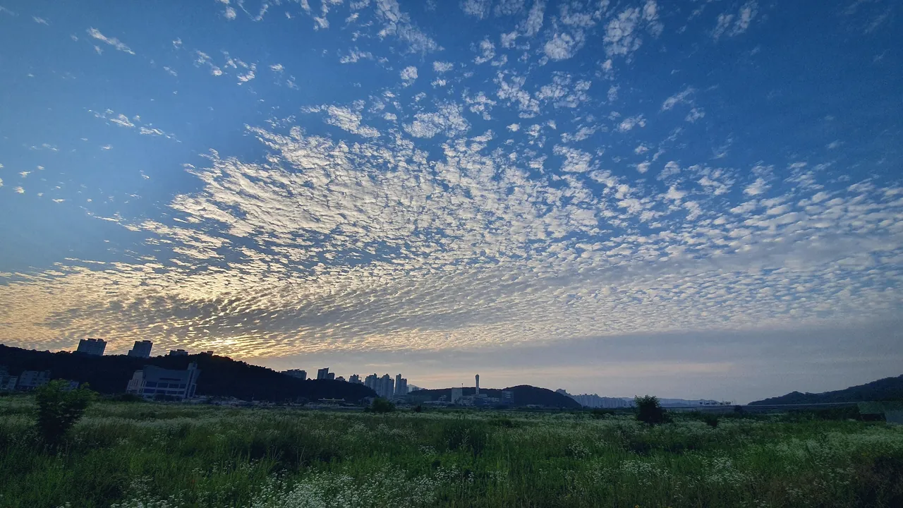 도안동 도솔산 주변 Skyview.jpg