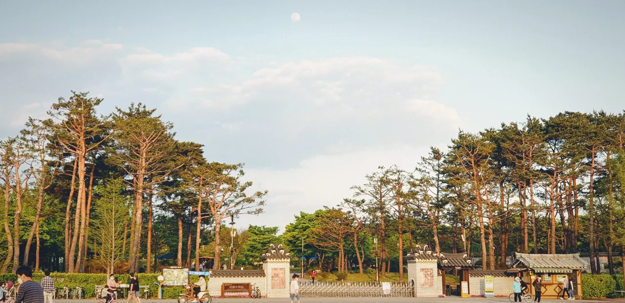 Hanbat Aboretum Garden under the Moon.jpg